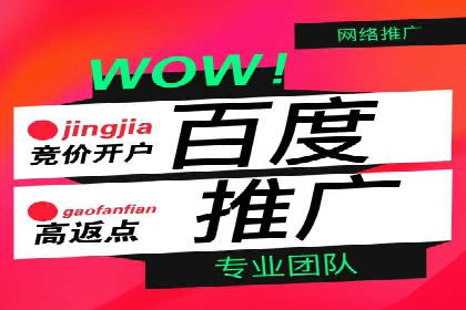 SEM托管公司案例：优化与增长